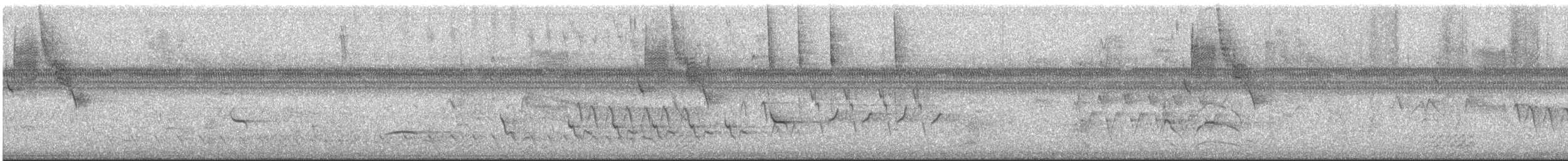 Black-striped Sparrow - ML638963023