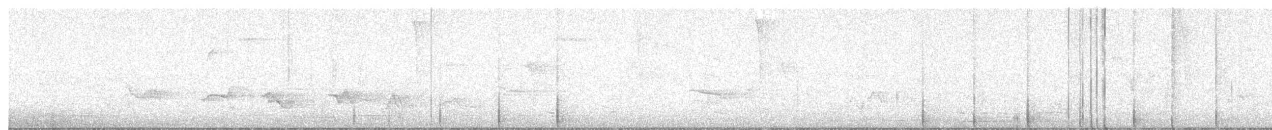 Piranga écarlate - ML638963577