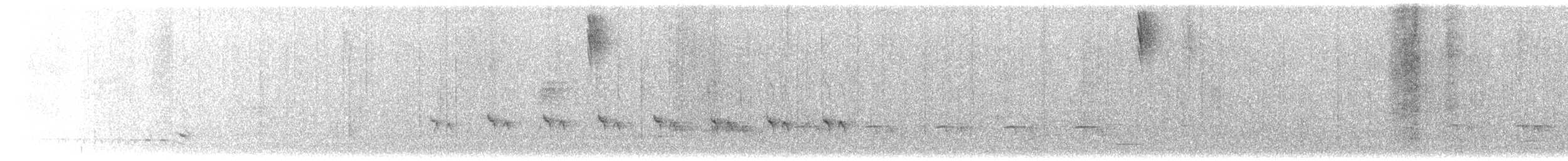 Stripe-chested Antwren - ML638963623