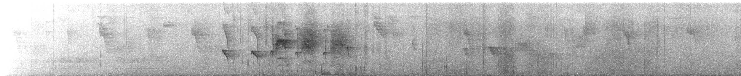 シマガシラアリドリ - ML638963660