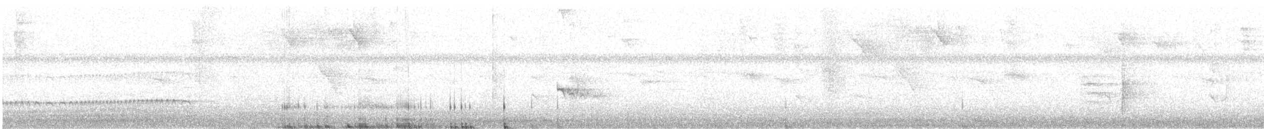 Lesser Antillean Pewee - ML638964088