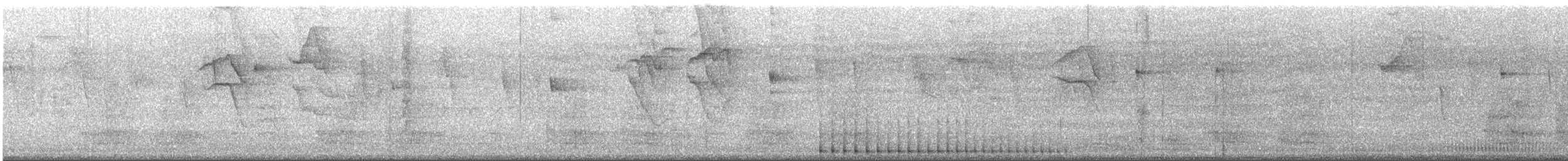 datel proužkovaný - ML638964258