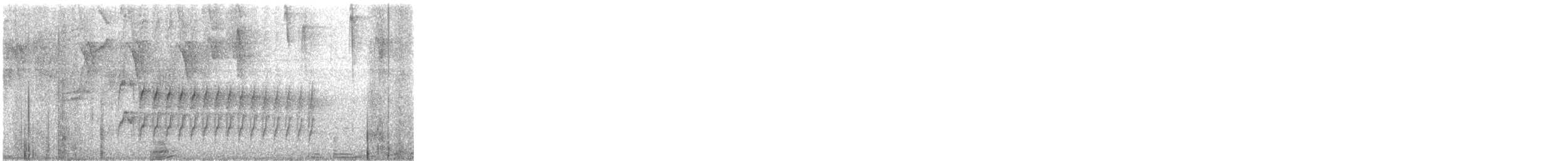 White-shouldered Fire-eye - ML638964904