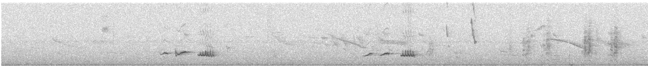 Tropical Mockingbird (Southern) - ML638965568