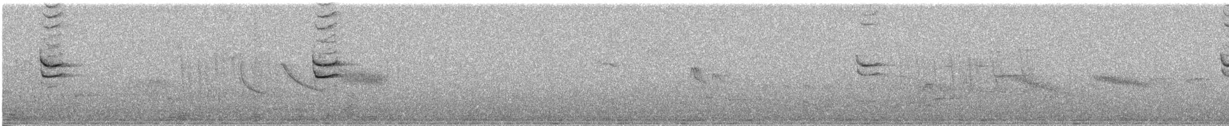 Tropical Mockingbird - ML638966186