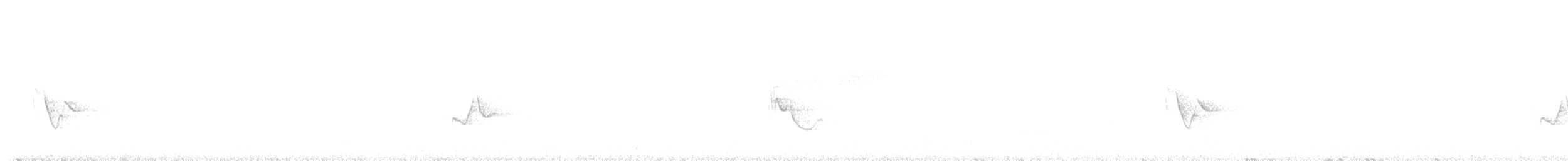 Blue-headed Vireo - ML638966348