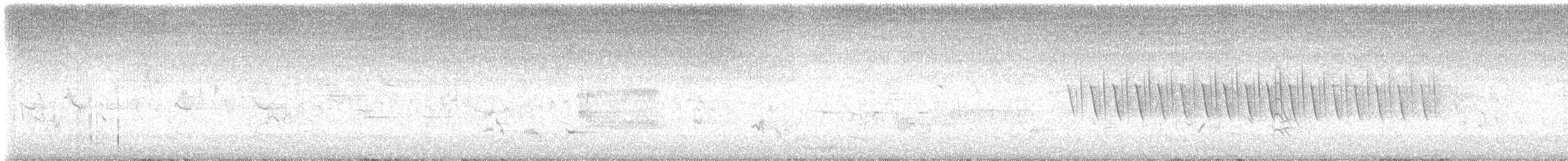 Хилэн хараалай - ML638966808