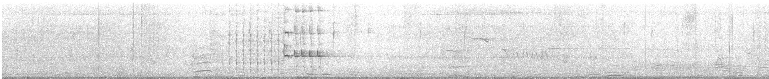 Great-tailed Grackle - ML638967389