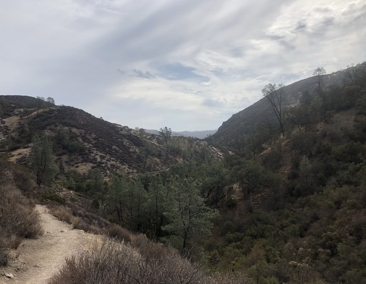 null - ML638967947