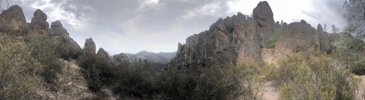 null - ML638967951