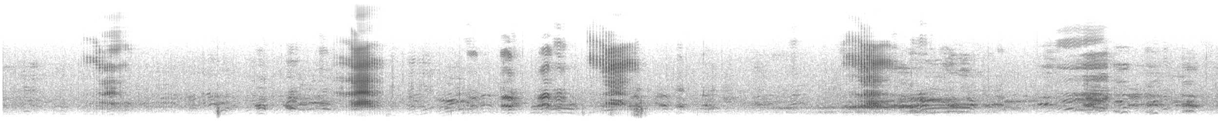 Common Murre - ML638968191