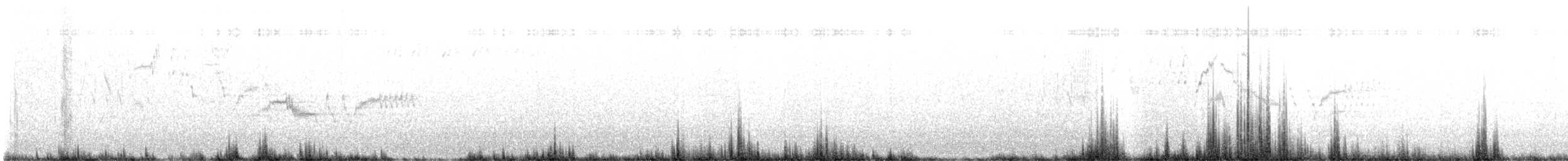Bicknell's Thrush - ML638969010