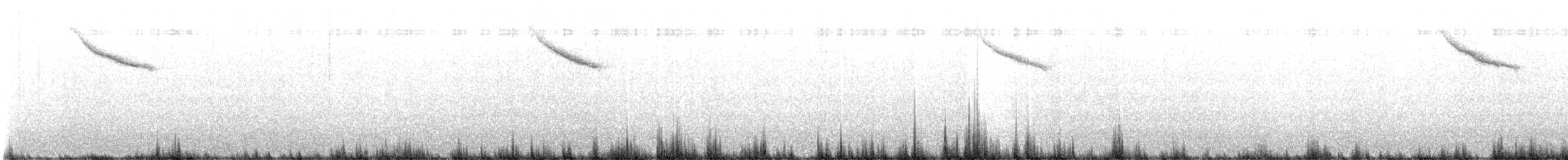 Bicknell's Thrush - ML638969011