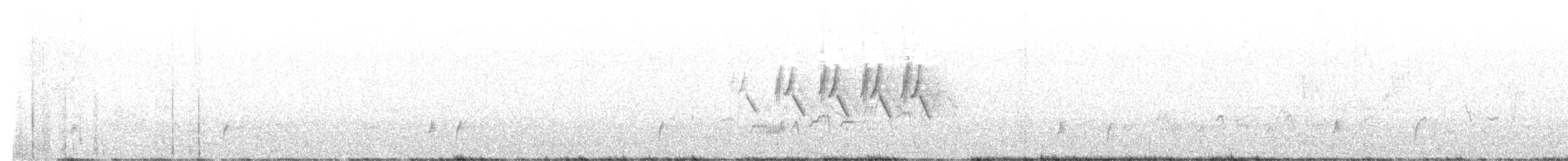 MacGillivray's Warbler - ML638969042