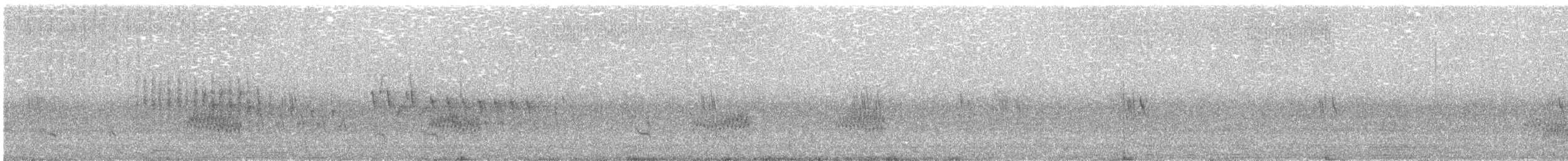 Northern House Wren - ML638969241