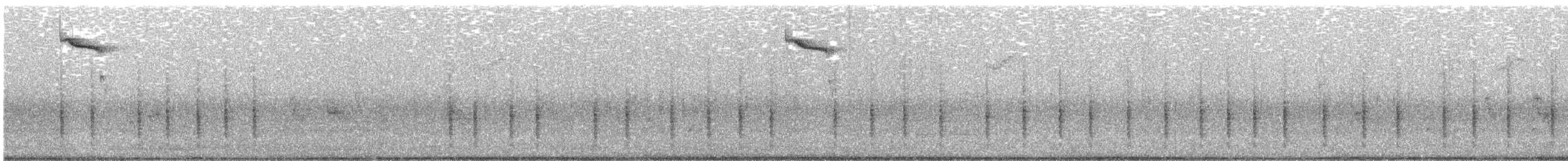 Northern House Wren - ML638969242