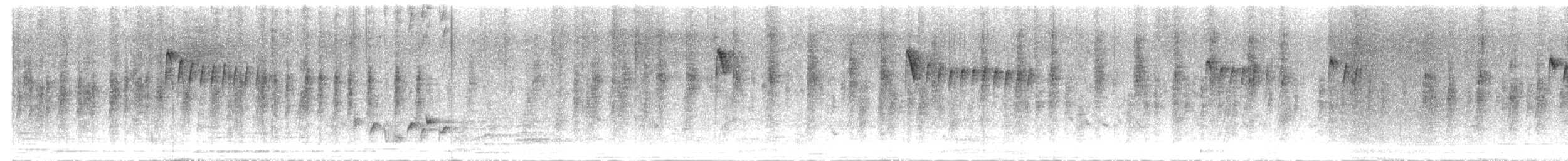 Kalapitari arabiarra - ML638969439