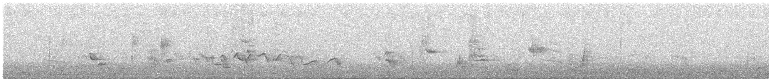 Katzenspottdrossel - ML638970177