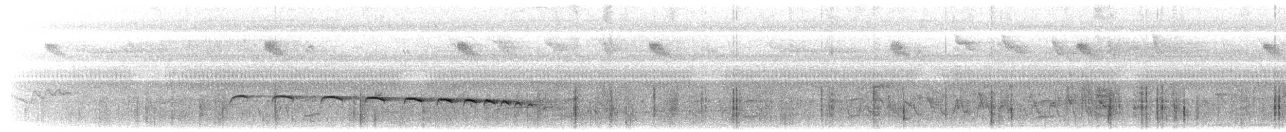 Plaintive Cuckoo - ML638970754