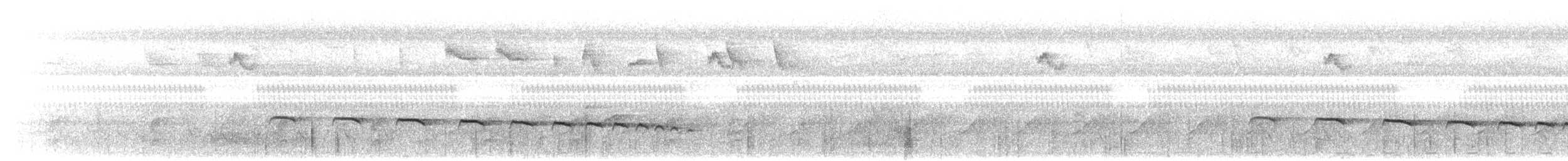 Plaintive Cuckoo - ML638970755