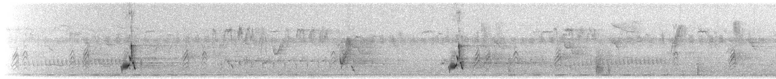 Tawny Grassbird - ML638971221