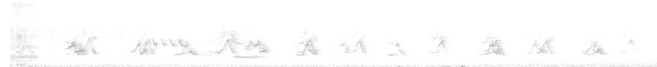 Cassin's Finch - ML638971438