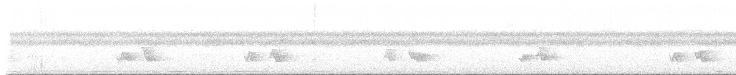Black-whiskered Vireo - ML638973415