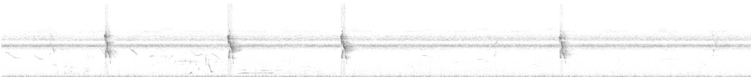 Social Flycatcher - ML638974163