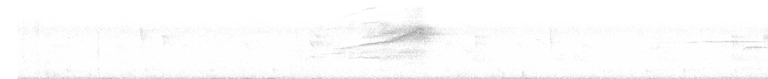 Barred Owl - ML638976146