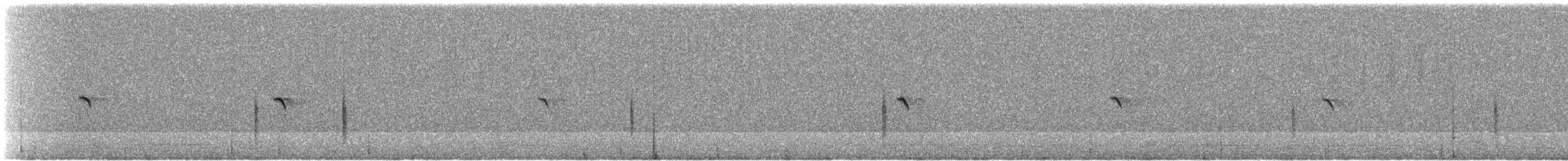 Адууч чогчиго - ML638976656