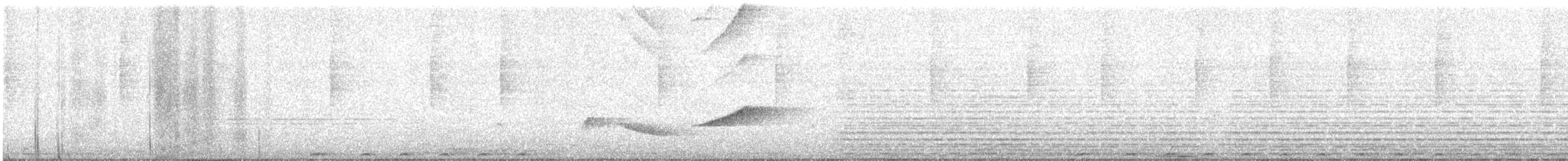 Lesson's Motmot - ML638978509