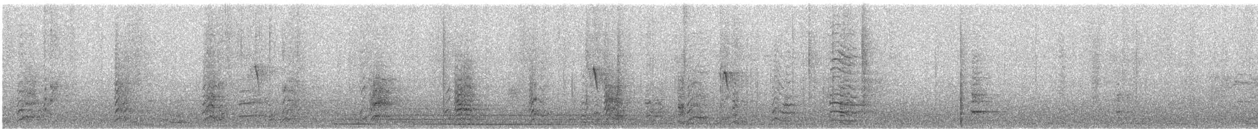 Ibis sacré - ML638978961