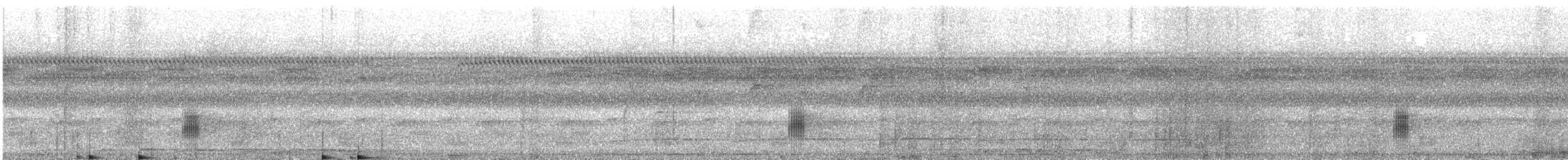 Black-tailed Tityra - ML638979396