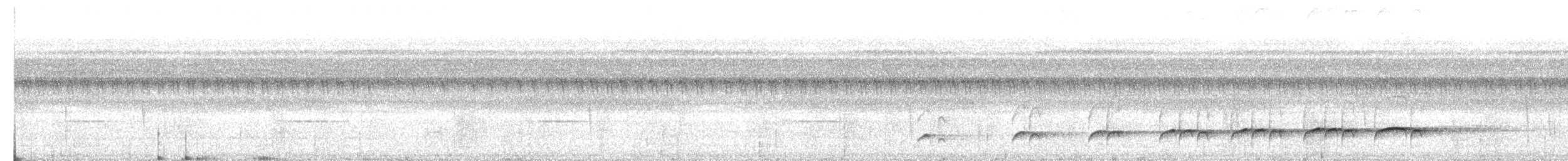 Bright-rumped Attila - ML638980381