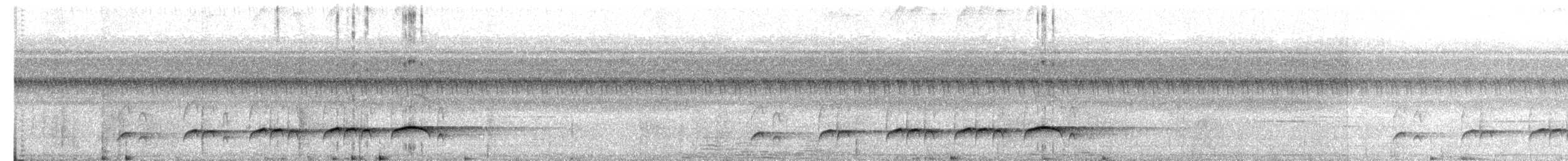Bright-rumped Attila - ML638980383