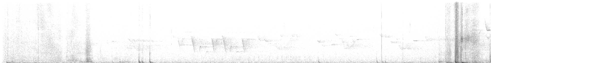 Connecticut Warbler - ML638980852