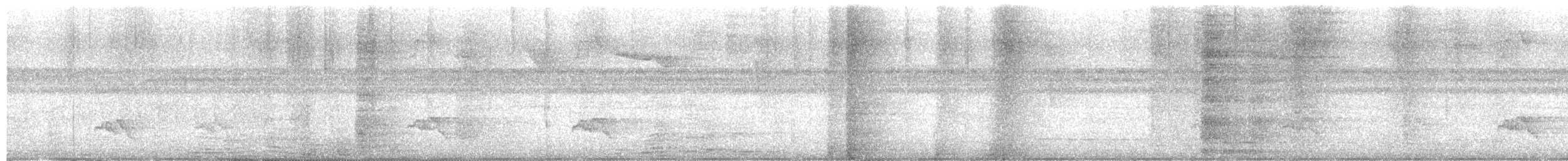 Scarlet-rumped Cacique - ML638981731
