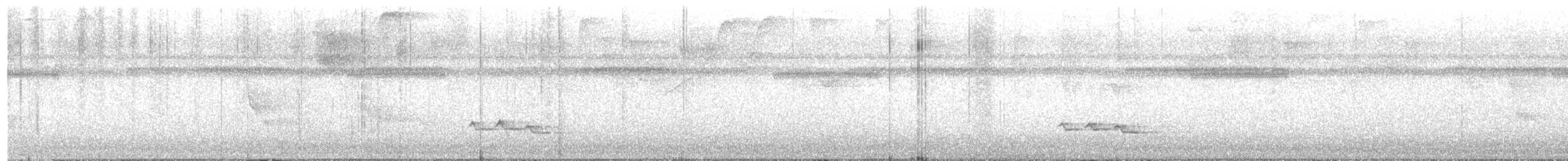 White-breasted Wood-Wren - ML638981809