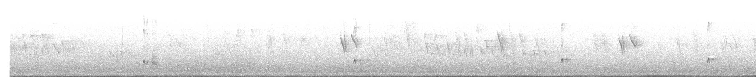 Ash-throated Flycatcher - ML638982144