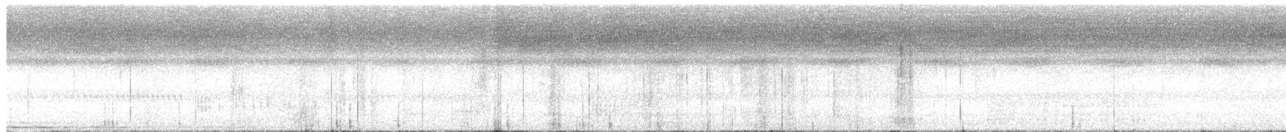 Northern Plain-Xenops - ML638982498