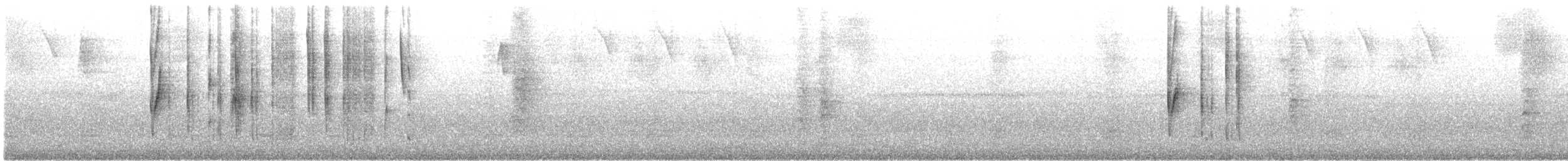 Brown Violetear - ML638983270
