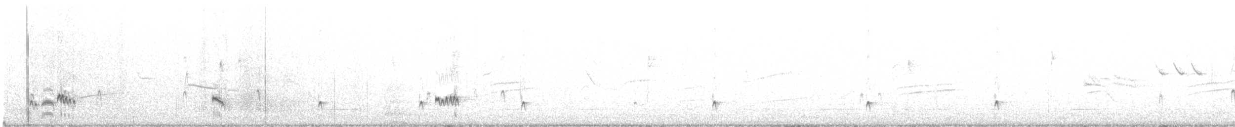 Ash-throated Flycatcher - ML638984483