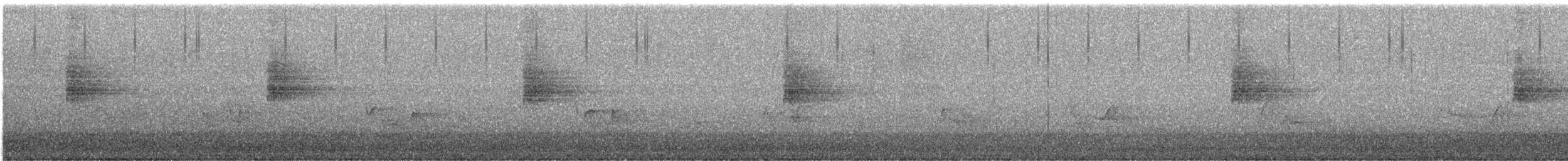 Louisiana Waterthrush - ML638984933