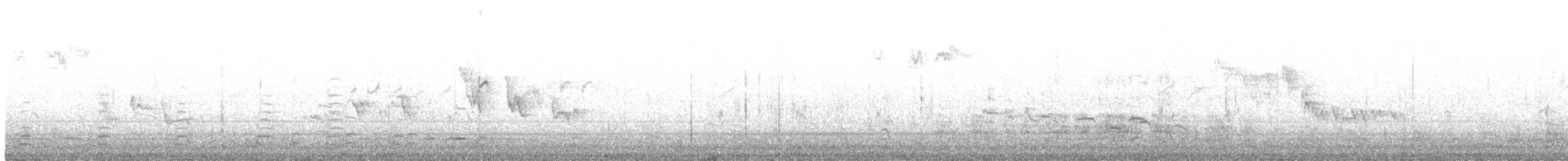 Eurasian Coot - ML638987268