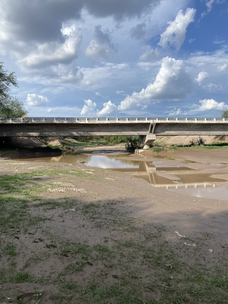 null - ML638988541