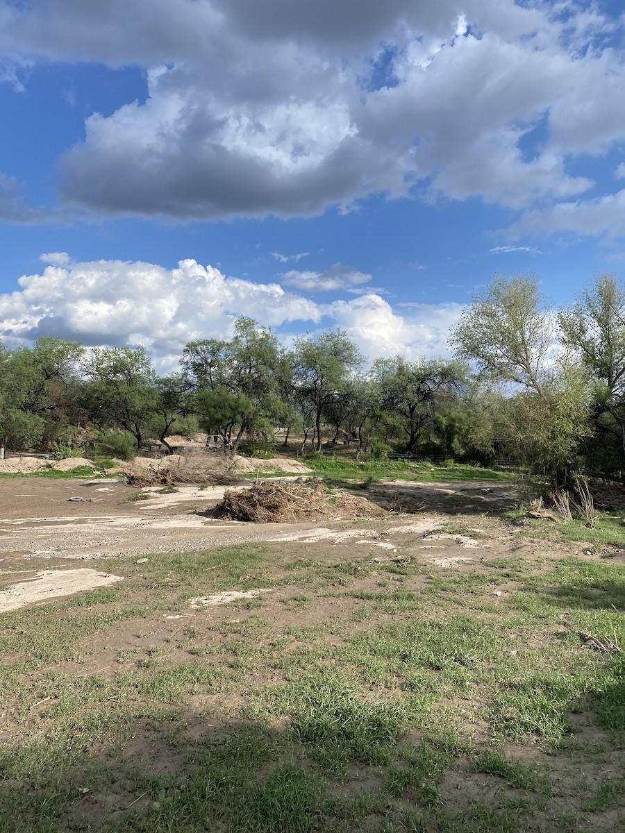 null - ML638988542