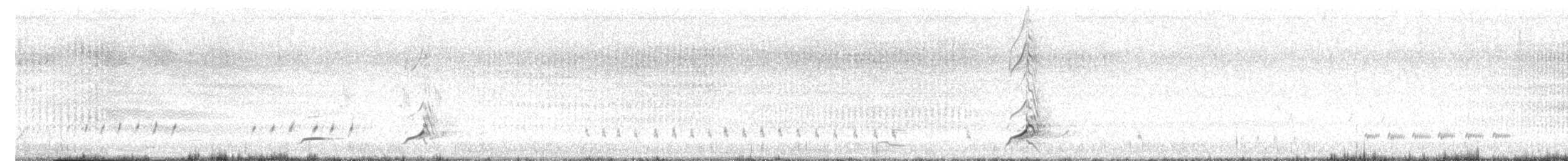 křepel virginský - ML638989217