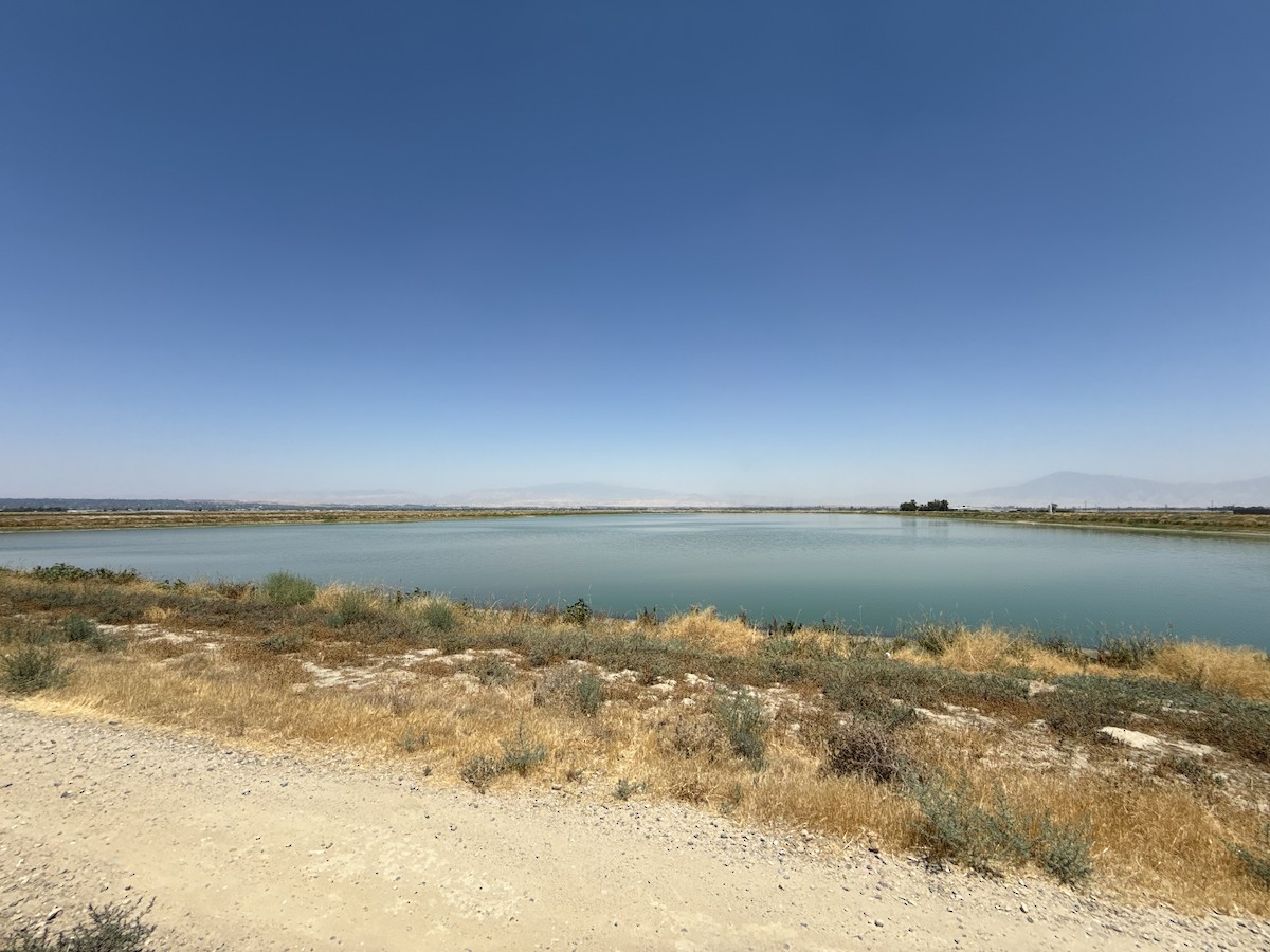 null - ML638989268