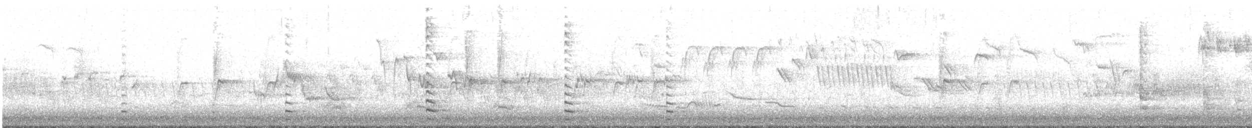 Focha Común - ML638989324