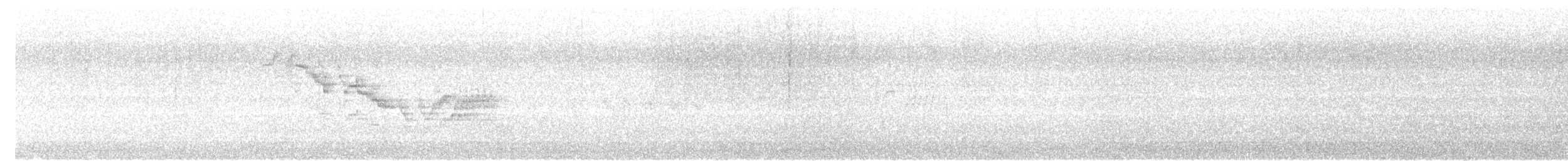 Bicknell's Thrush - ML638989717